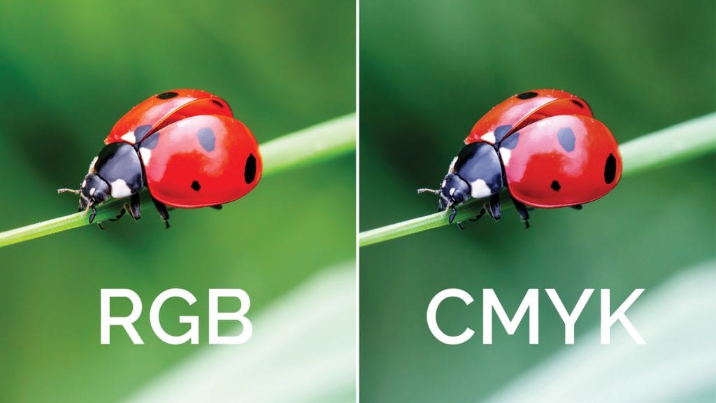 Baskı Öncesi Tasarımda CMYK ve RGB Farkına Dikkat!