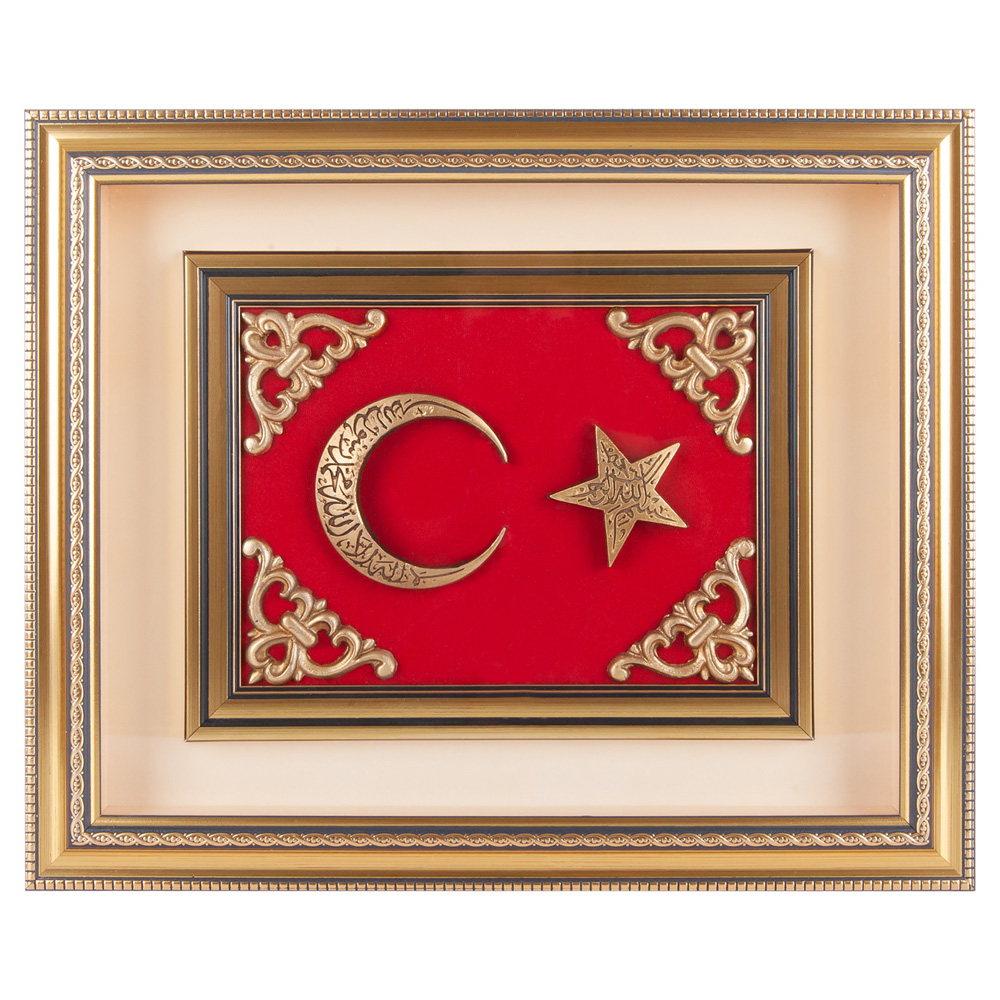 ALPAGUT ALTIN AYYILDIZ ARMA TABLO 7