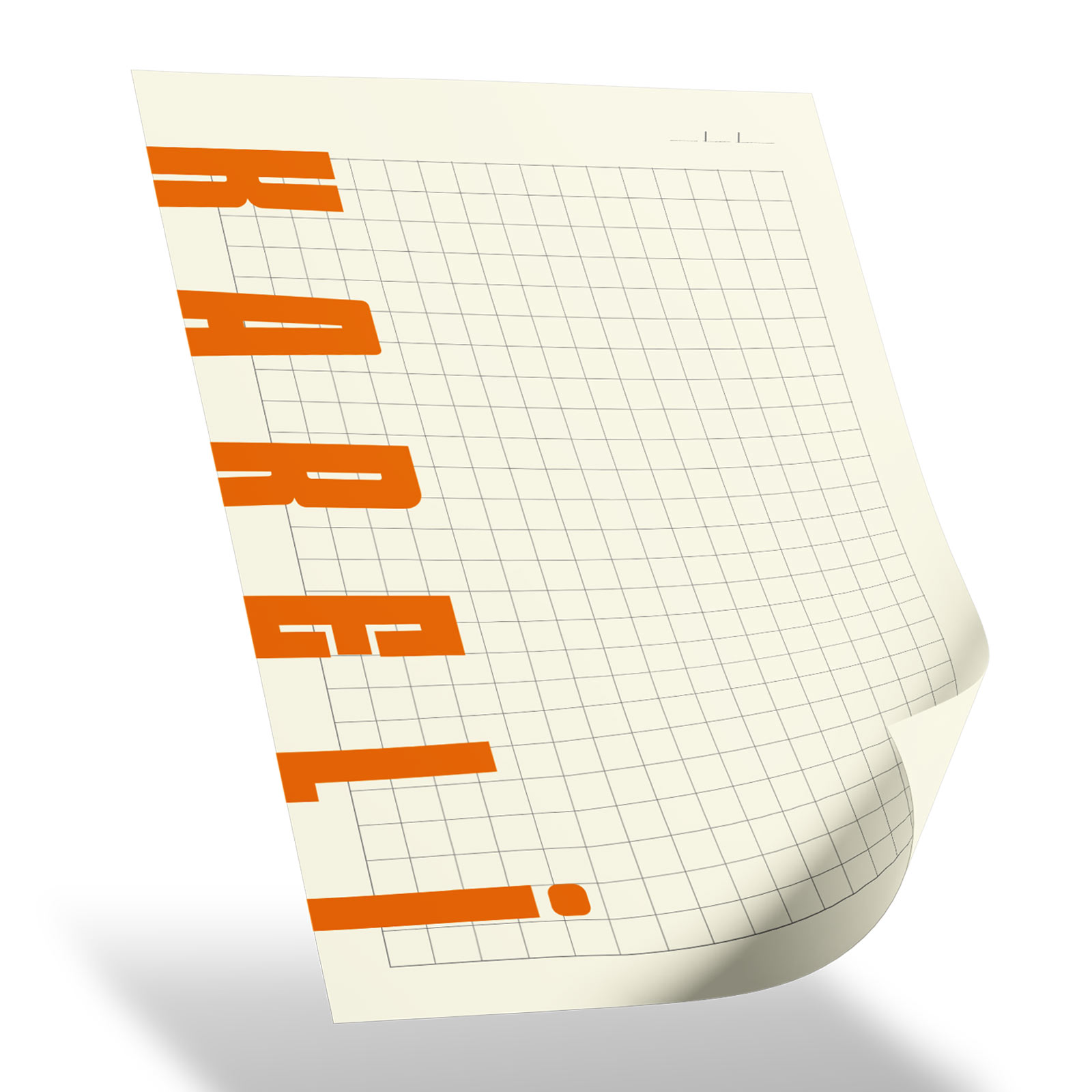 PLEVNE SİYAH KARELİ TARİHSİZ SPİRALLİ DEFTER (20x28 CM) 2